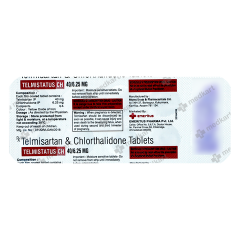 telmistatus-ch-625mg-tablet-10s-13088