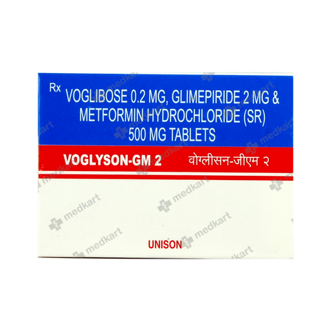 voglyson-gm-2mg-tablet-10s-14665